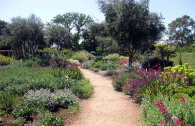 Low water use garden